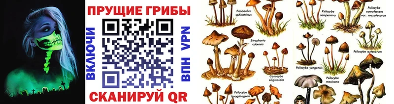 Псилоцибиновые грибы Psilocybine cubensis  Купить где  Сарапул 